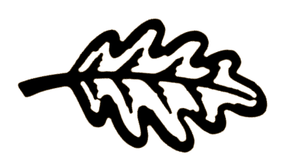 hojaBN