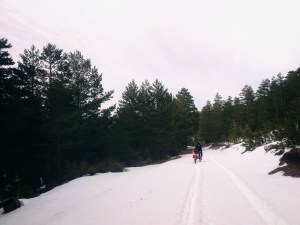 received_216928702772078-01